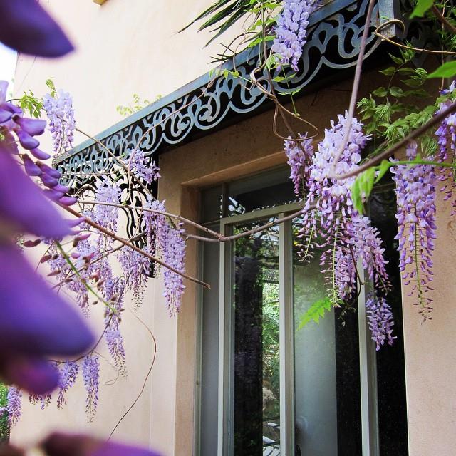 אומברזו מעל חלון בלגי